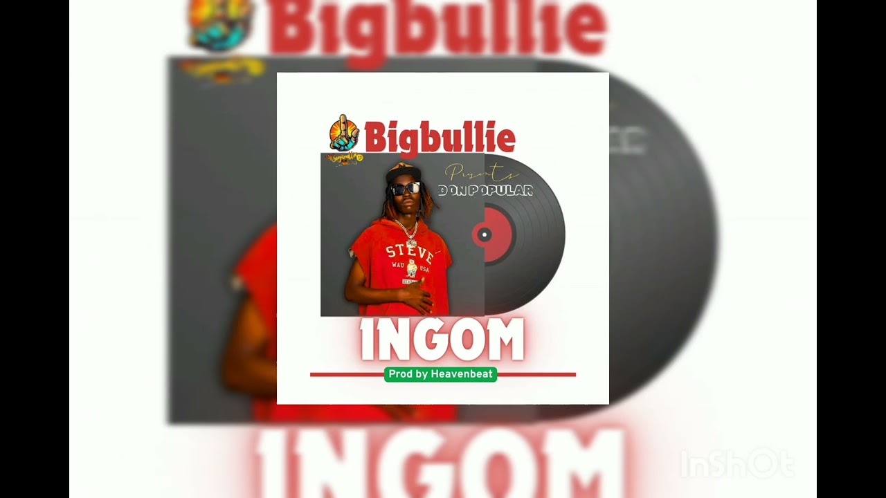 Ingom by Don Popular [popii](official Audio visualizer)