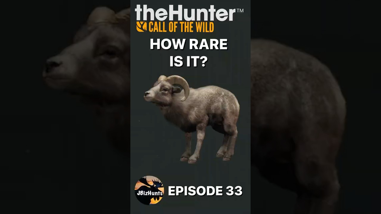 How Rare Is It? Piebald Bighorn Sheep | Episode 33 | the Hunter Call of the Wild