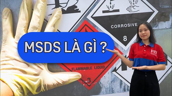 Msds là viết tắt của từ gì năm 2024