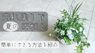 【売残り苗】暑さに強い花 寄せ植えの作り方 苗の選び方・組み合わせ方も解説