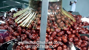 WT8-200-S Multihead Weigher Automatic Stand up Zipper Pouch Rotary Packing Lines