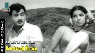 Download Lagu Pattam Vittadhupole Video Song | Panakkara Pillai | Jyothi Lakshmi | Ravichandran | Music Studio MP3 Download Lagu Pattam Vittadhupole Video Song | Panakkara Pillai | Jyothi Lakshmi | Ravichandran | Music Studio MP3