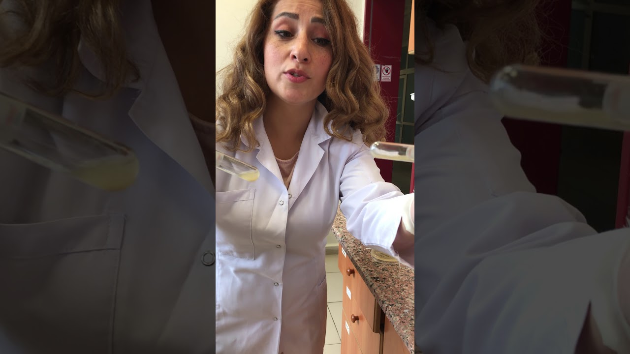 Tıbbi Mikrobiyoloji  Gram pozitif bakteri identifikasyonu