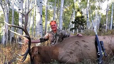 2016 Utah Wasatch Rifle Bull Elk hunt