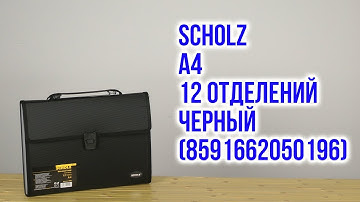 Распаковка Scholz А4 12 отделений с регистрами Черный 8591662050196