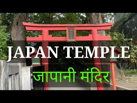 Video: How To Visit The Temple
