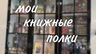 МОИ КНИЖНЫЕ ПОЛКИ | Более 500 книг