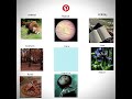 how Pinterest sees me! #pinterest #tending