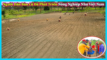 Hùng KaKa ll Người Dân Bản Cũ Ahanga Đã Tiếp Thu và Phát Triển Nông Nghiệp Như Của Việt Nam ?