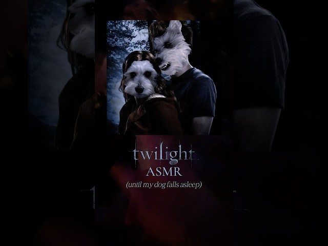 Twilight ASMR on my dog ✨