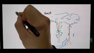 Foundations of Biology Lab - Special Final Assignment