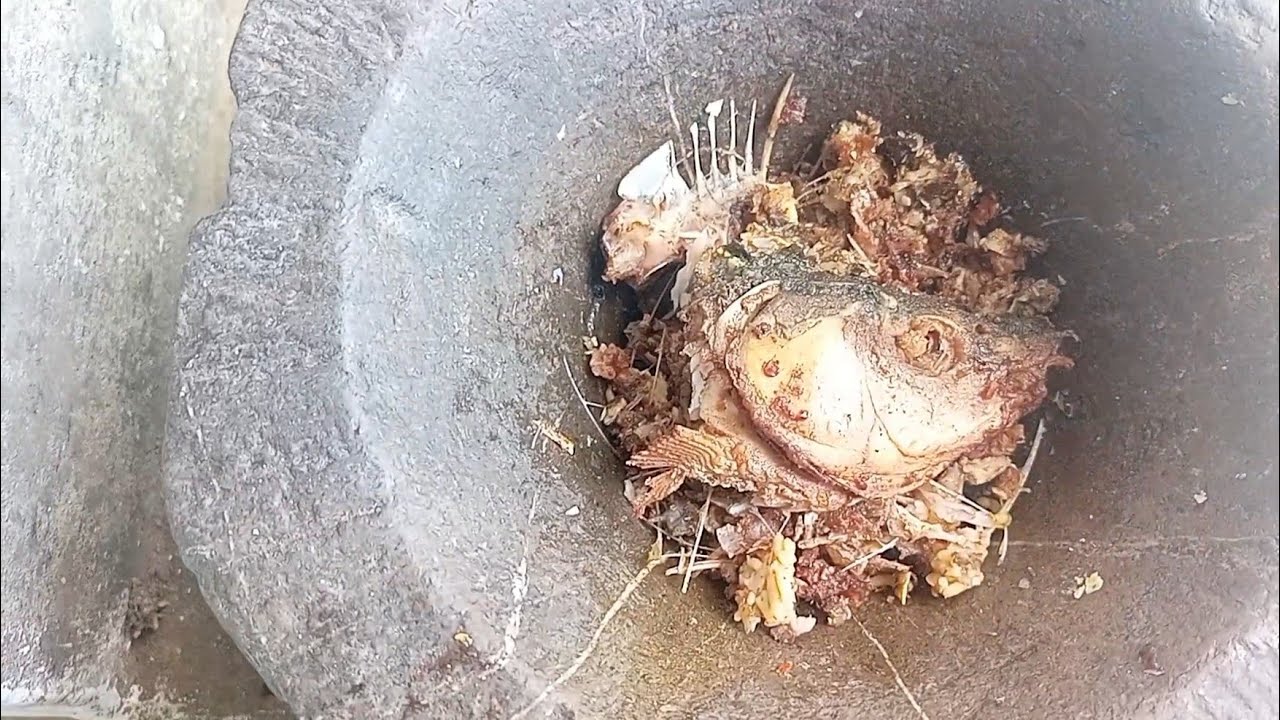 Eating Fish Bones And Best Food For Chickens| How To Use Fish Bones In Chickens Food | House Poultry