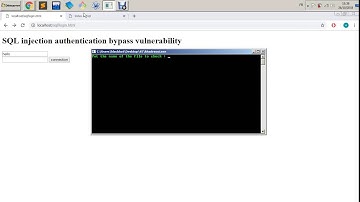 Security programming code scanner for vulnerability Delphi/Pascal