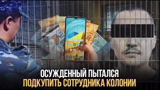 Осужденный пытался подкупить сотрудника колонии