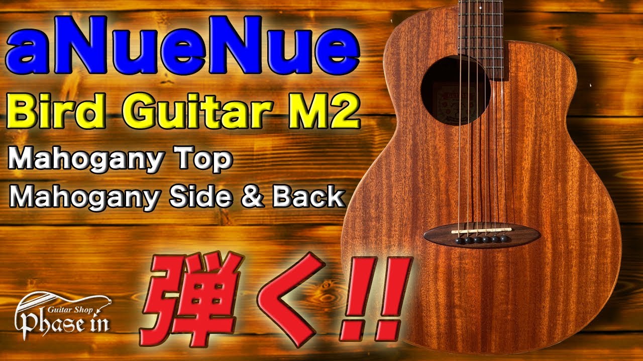 ギター aNueNue Bird Guitar Bird M2 aNueNue Bird Guitar M2 弾く！ - YouTube