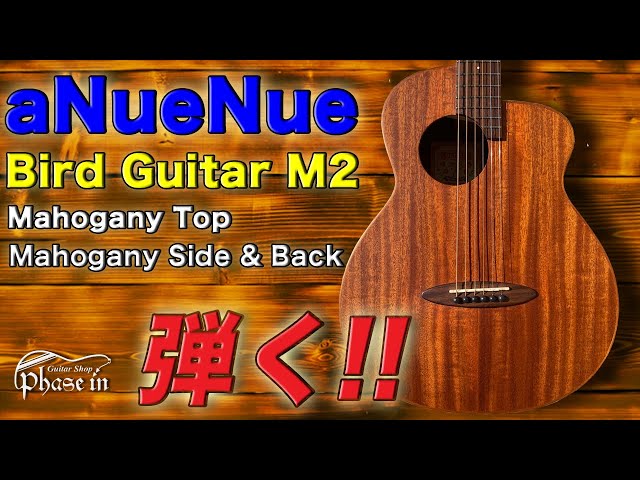 aNueNue Bird Guitar M2 弾く！ - YouTube