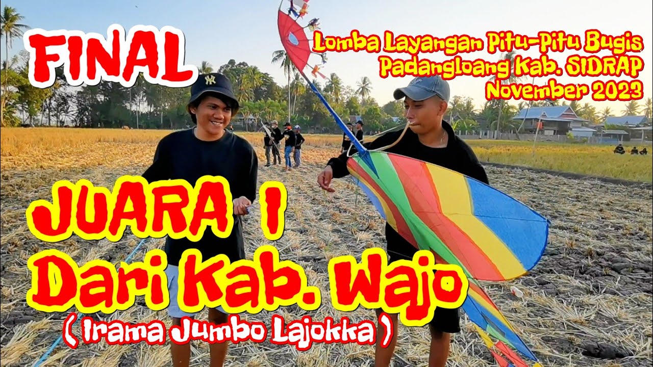 Layang Layang Pitu Pitu Bugis, Perlombaan Layangan Pitu Pitu Bugis Di Padangloang, Kabupaten Sidrap