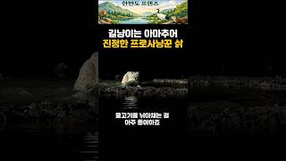 통통한 앞발로 사냥하는 반전 매력! 물고기 잡는 야생 고양이 '삵'