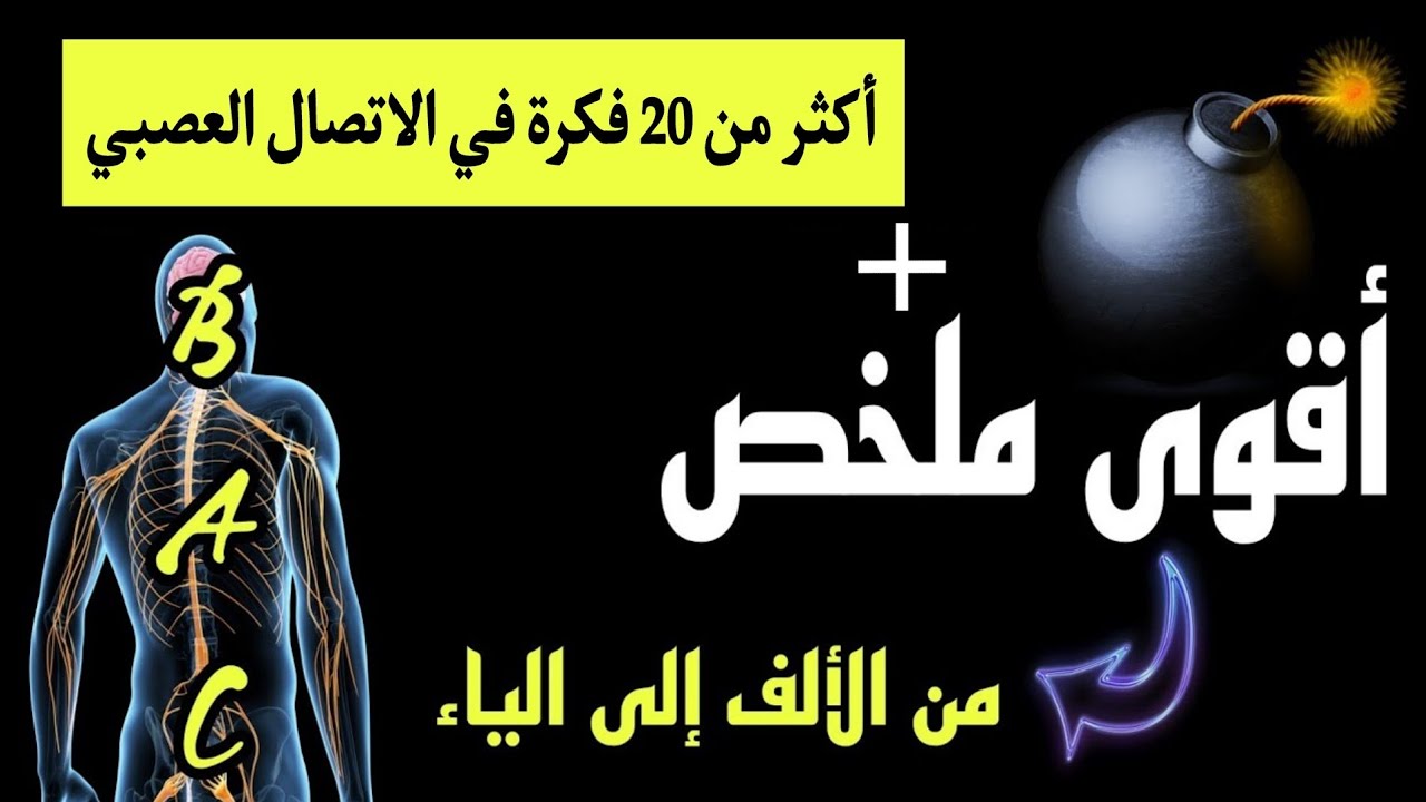 💣أروع الافكار في وحدة الاتصال العصبي|ملخص شامل -الوحدة 5- بكالوريا ع ت مستحيل تستغنى عليه😍