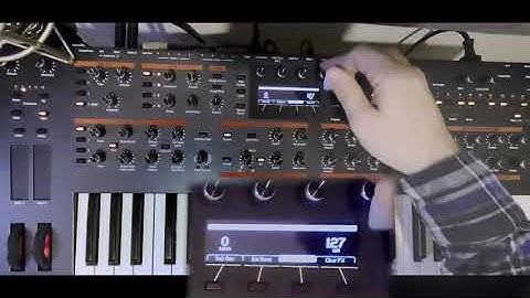Using the Sequential Pro 2 as a guitar processor?