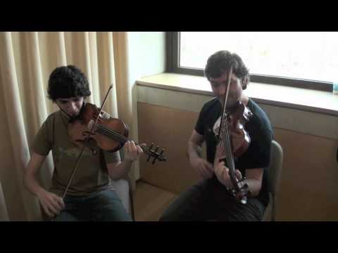 Bubinga Vs Imbuia, Barry Dudley 5-string violin