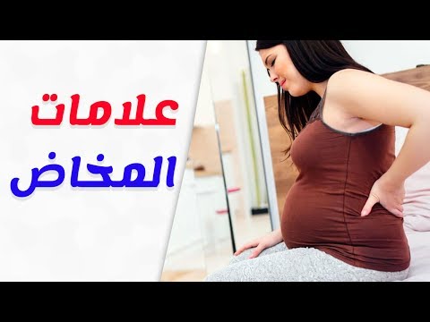 فيديو: ماذا تعني المحطات في المخاض؟