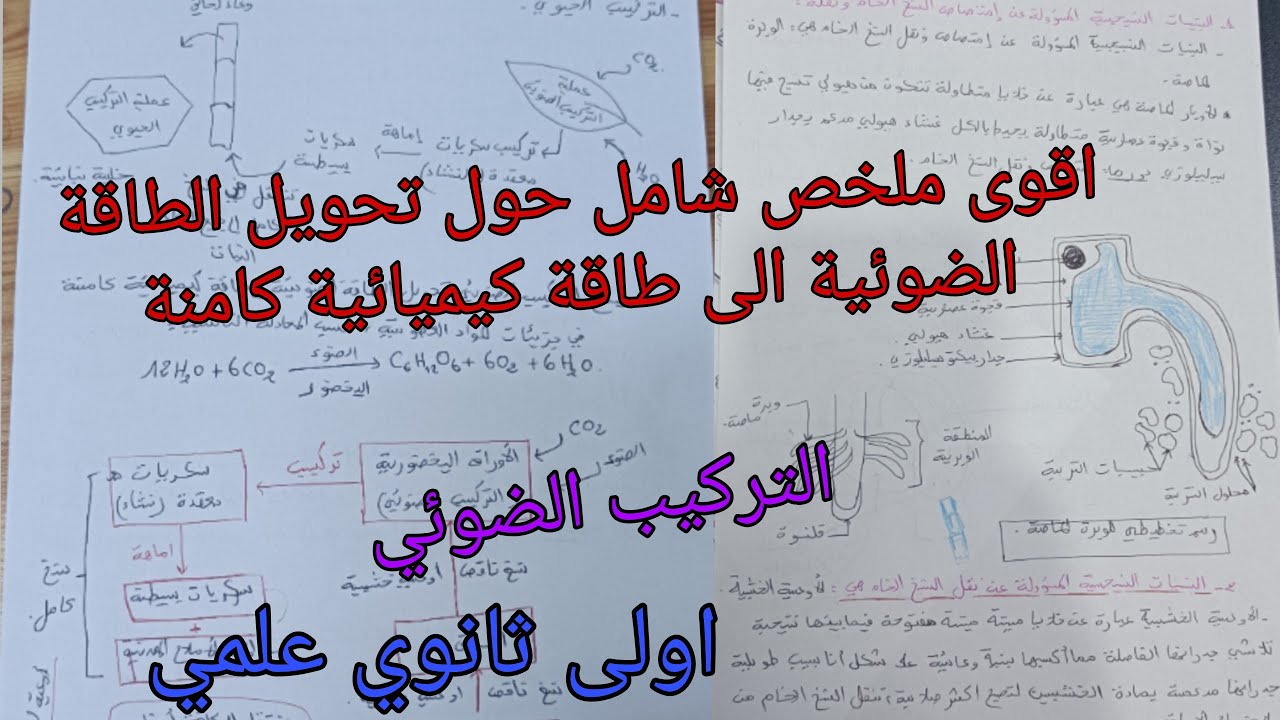 اقوى ملخص شامل تحويل الطاقة الضوئية الى طاقة كيميائية كامنة /التركيب الضوئي _علوم _اولى ثانوي علمي