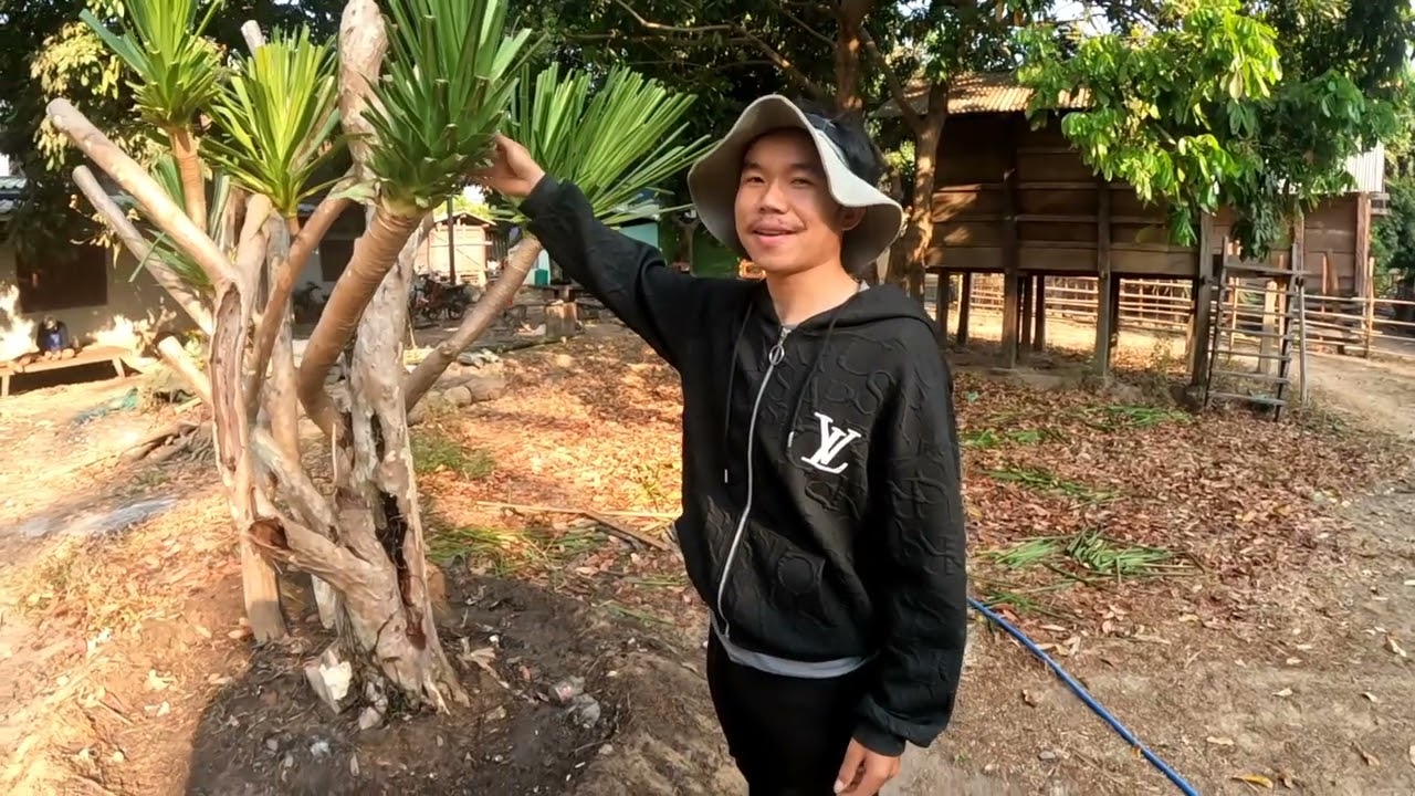 วิทีภูไทยตอนที9 ดูของโบราณ