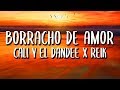 Cali Y El Dandee Ft. Reik - Borracho De Amor