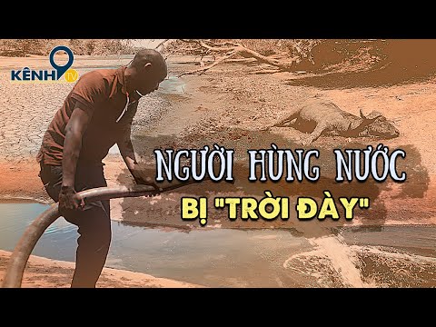 Người đàn ông hàng ngày chở nước đến cứu động vật hoang dã khỏi chết khát