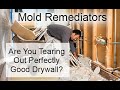 Mold Remediation Without All The Tearout - Goldmorr