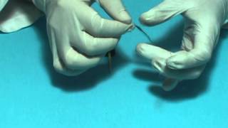 Carga Electrostatica - Péndulo Electrostático