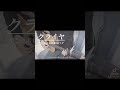 クライヤ/すこっぷfeat.初音ミク 弾き語り #shorts