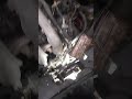 retirada motor partida fit.