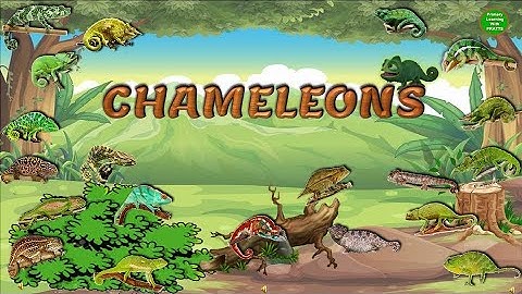 Chameleons, Unit 2.1, Poem, Std 2, English Medium, Balbharati, Maharashtra State Board,