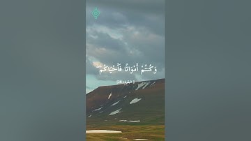 تلاوة خاشعة من سورة البقرة للقارئ الشيخ فارس عباد