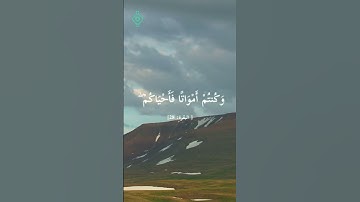 تلاوة خاشعة من سورة البقرة للقارئ الشيخ فارس عباد