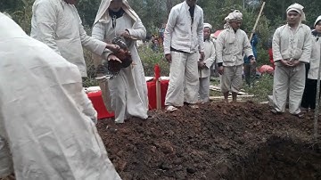 đám tang dân tôc tày, nùng ở bảo lạc, cao bằng. khi chuẩn bị hạ huyêt thì thả 1 con gà chống