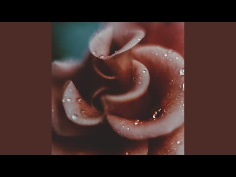 Rainy Day