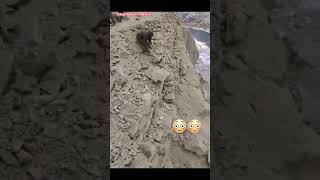 Mountain Rescue Miracle 😱⛰️ #iraupdatesitmatters