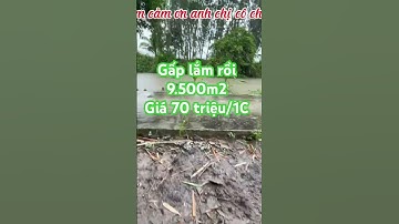 Bán gấp 9.500m2 đất ruộng mặt tiền đường dal giá 70 triệu/1000m2 đường dal kiên giang