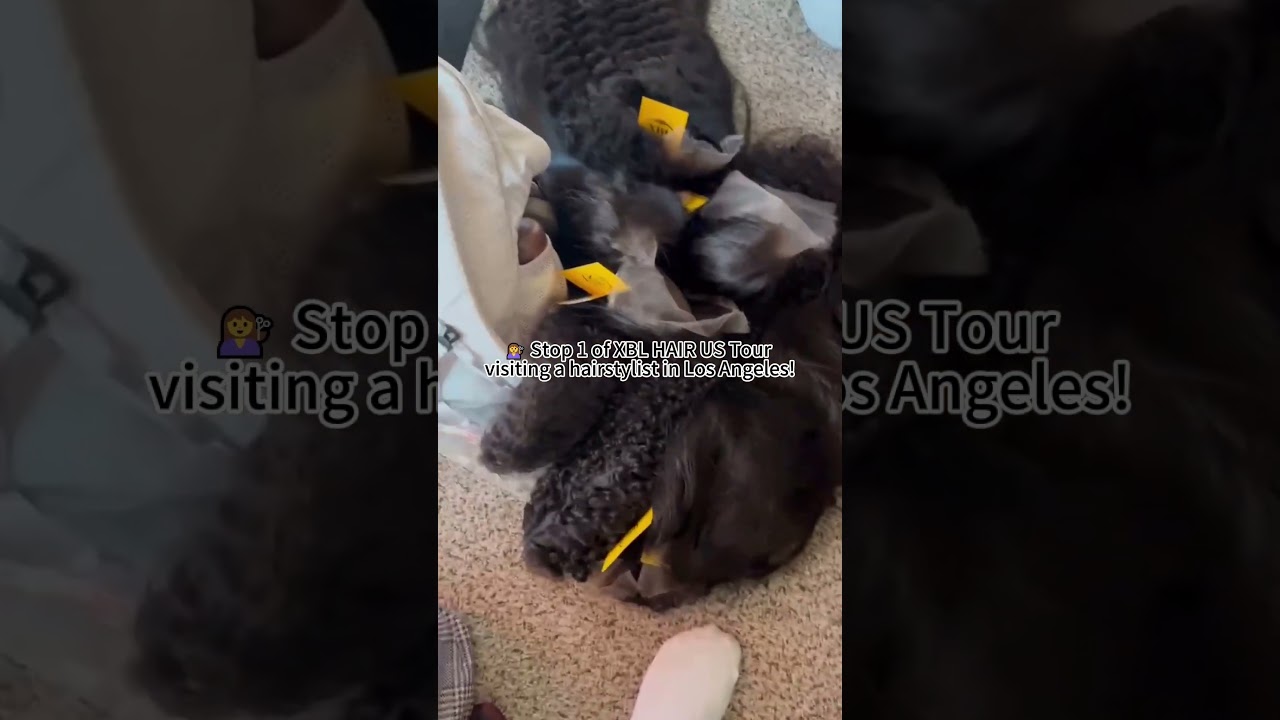 Visiting Our Hairstylist Client in Los Angeles | XBL Hair US Tour 🇺🇸✨