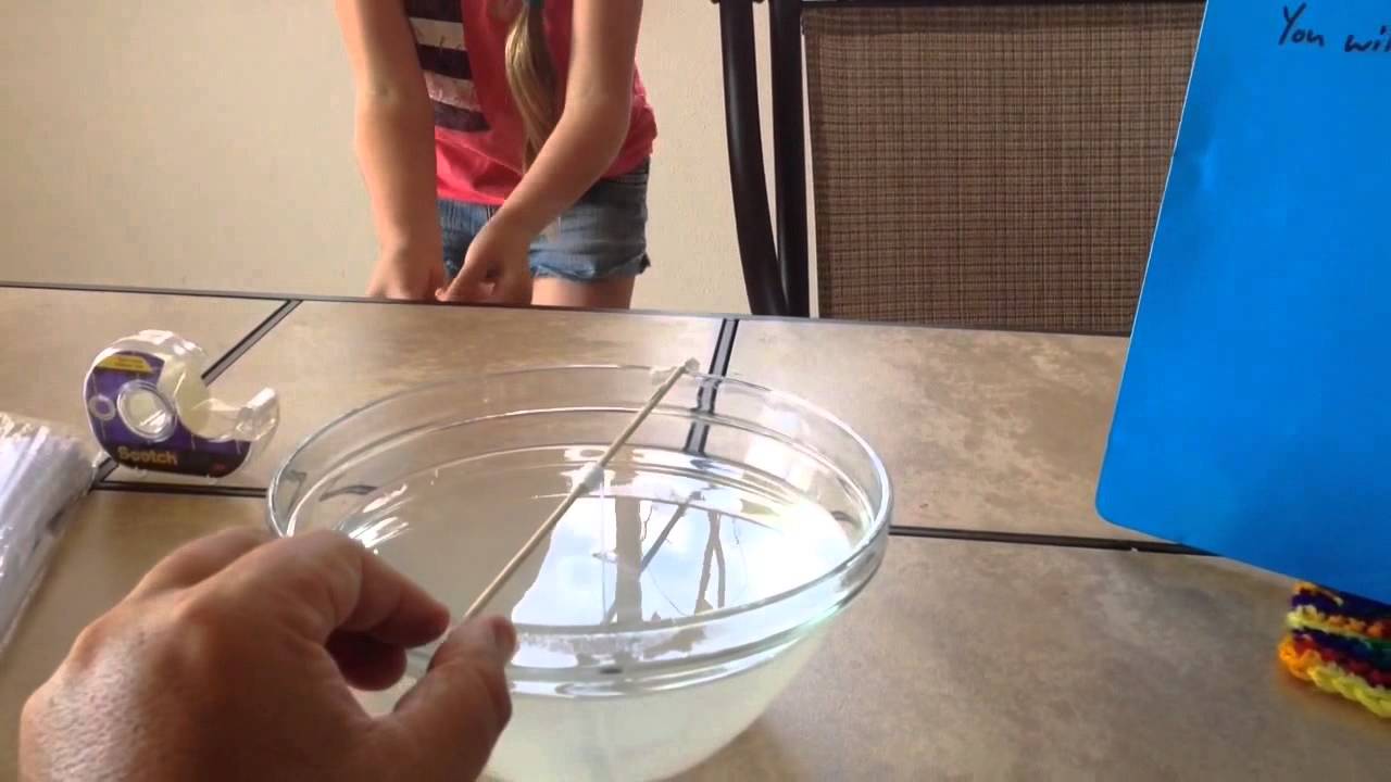 Geology Lab 1 (Growing Crystals at Home)