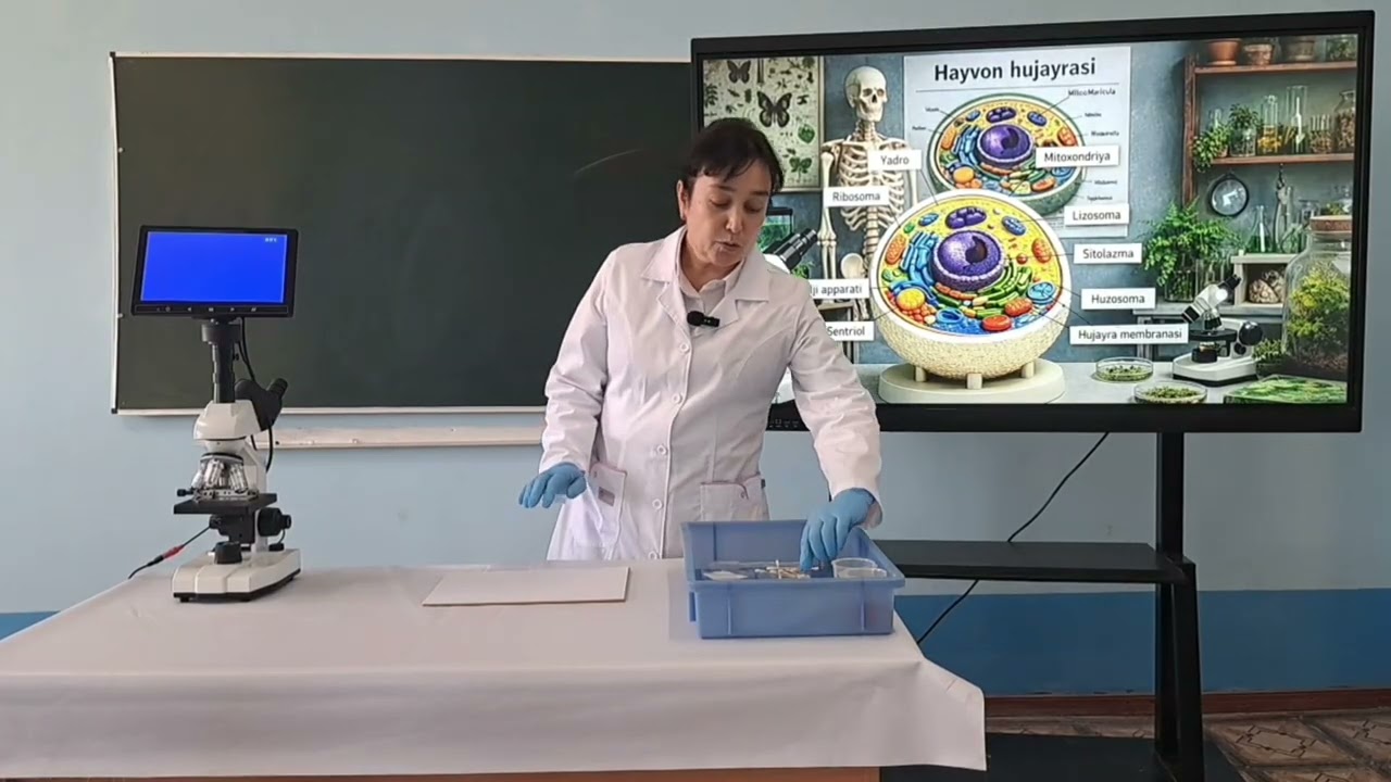 Hayvon hujayralarini o'rganish.