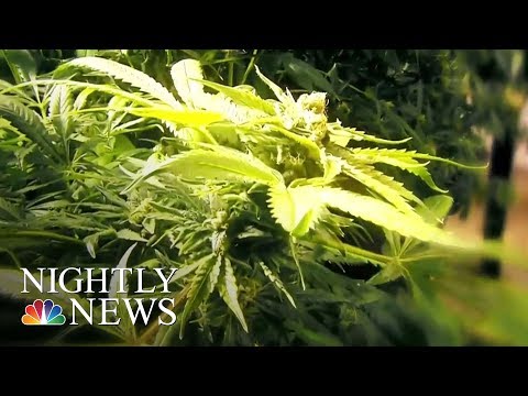 Uncover: Medical Marijuana Helps Younger folks Who Get Seizures | NBC Nightly News thumbnail