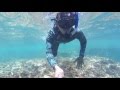 Lombok Spearfishing