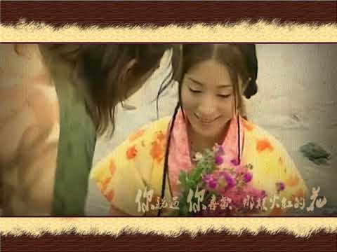 【TVB】【大唐双龙传|林峰x杨怡】羊角花又开（寇仲x李秀宁）