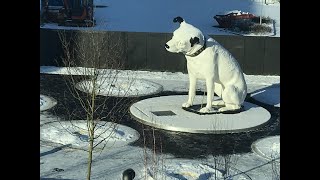 Nipper the 9ft dog (Take 2)