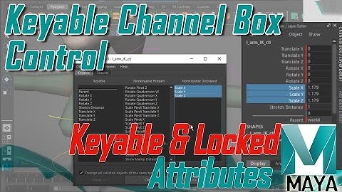 Maya Channel Box Tutorial | How to make Attributes Keyable & Locked in Channel Box | Rig Controls