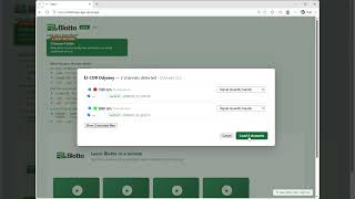 How to Import Western Blot Files | Blotto Tutorial | Immunoblot Quantification
